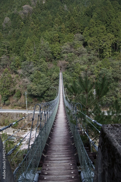 Obraz 山間の小さなつり橋のある風景