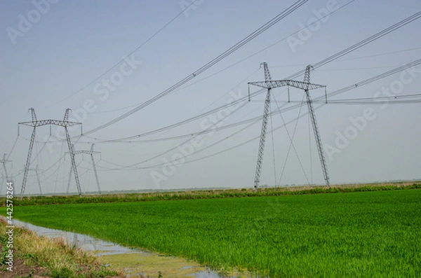 Obraz High voltage electricity line against the background of the sky and green field.