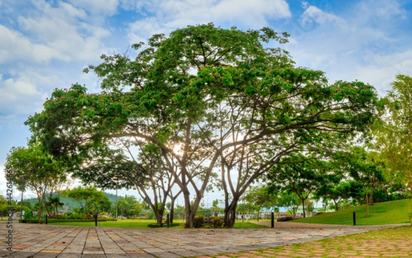 Obraz Parque Las Vegas