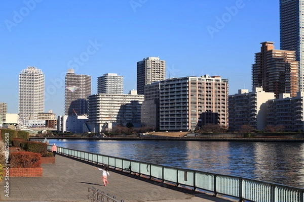 Fototapeta マンション群が建ち並ぶ隅田川風景