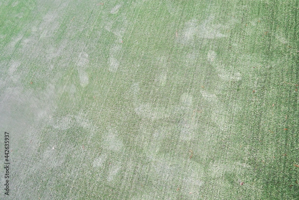 Obraz green carpet texture, green background,