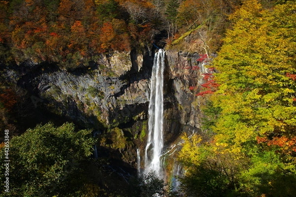 Fototapeta 日本三大名瀑（日光華厳の滝）３