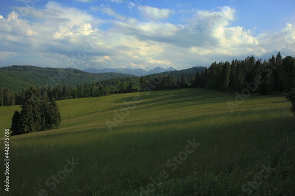 Fototapeta Summer, green meadow and rocky Tatra mountains
