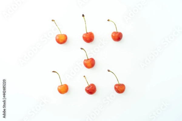 Obraz さくらんぼ