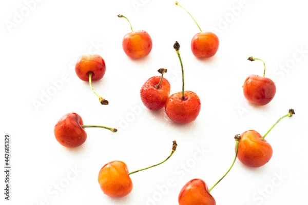 Obraz さくらんぼ