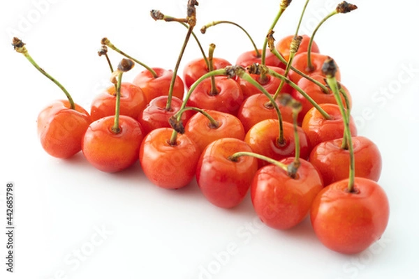 Obraz さくらんぼ