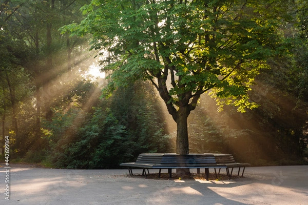 Obraz Stadspark in Amsterdam, Citypark in Amsterdam
