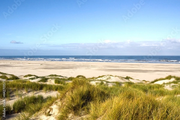 Obraz Strand op Vlieland, Beach at Vlieland