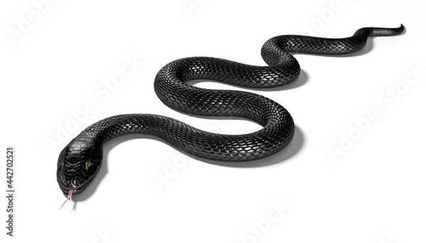 Obraz Black Snake isolated on White Background. 3D illustration