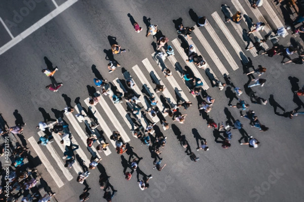 Fototapeta Different blurred people at a pedestrian crossing in the city - drone shot. People at a zebra pedestrian crossing - a lot of pedestrians in an overcrowded city on a sunny day. Aerial drone shot. 