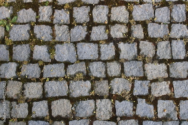 Fototapeta Cobblestone Texture