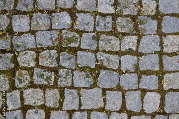 Fototapeta Cobblestone Texture