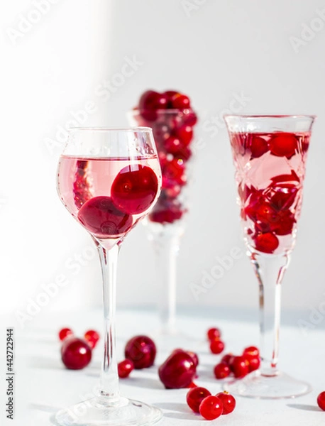 Obraz set of glasses of pink gin or vodka infused with cranberry among frozen berries, a long-stemmed crystal glasses with cherry liqueur or any red alcoholic cocktail on light blue background, minimalism