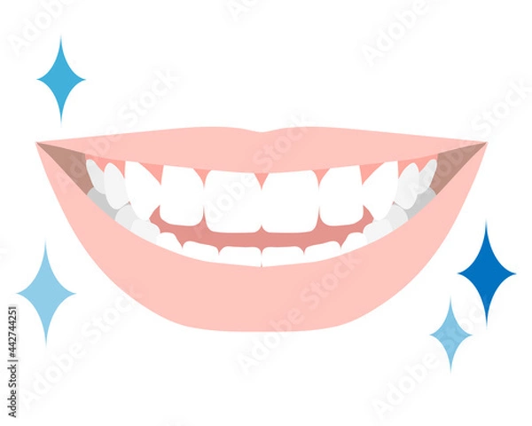 Obraz 白い綺麗な歯