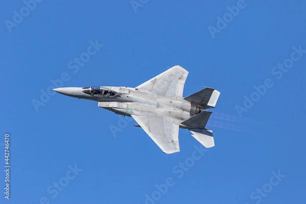 Fototapeta 青空を飛行する戦闘機（築城・福岡）