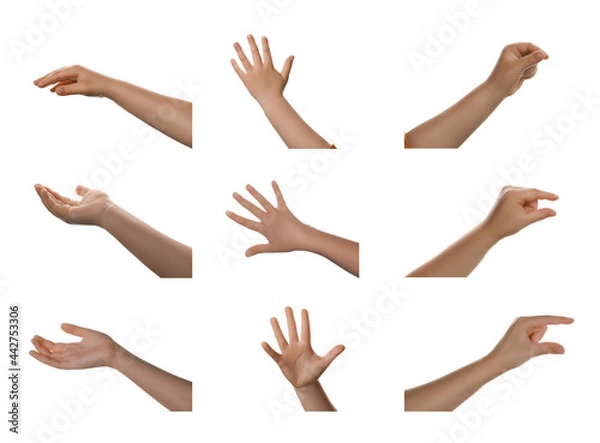 Fototapeta Collage with photos of little child showing different gestures on white background, closeup