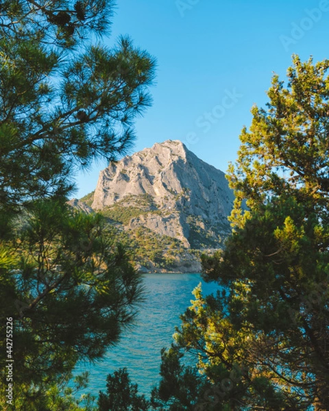 Obraz Crimean landscape