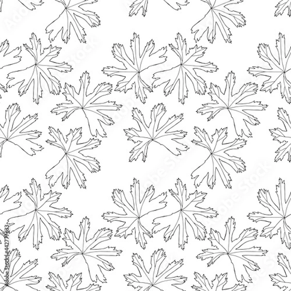 Fototapeta Seamless pattern. Vector illustration with leaves. Doodle sketch.