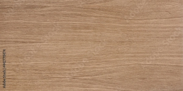 Obraz wood texture background oak beech ash