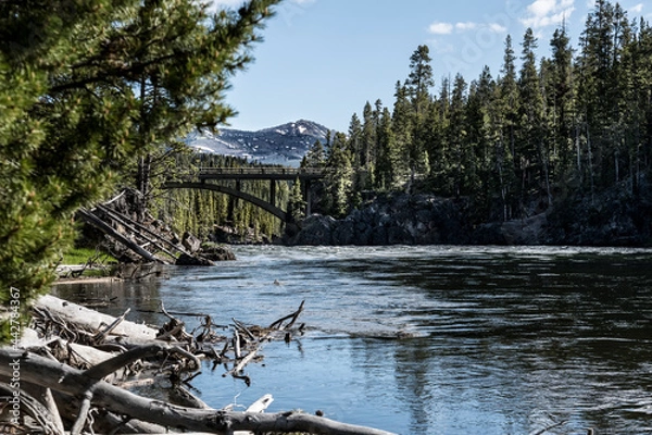 Obraz bridge over river