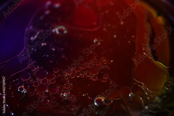 Obraz red wine splash