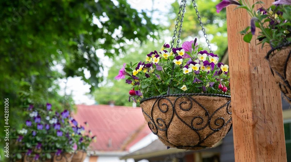 Fototapeta Beautiful spring floral basket hanging from a wooden post with the partial view of a red roof of a house in the background