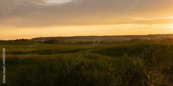 Obraz Summer sunset landscape