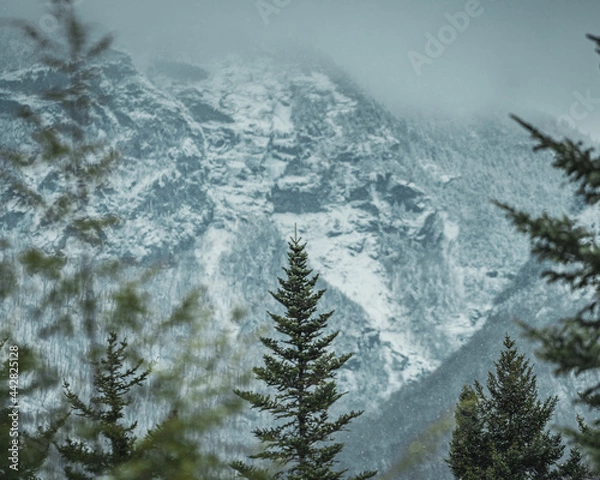 Obraz Smugglers Notch