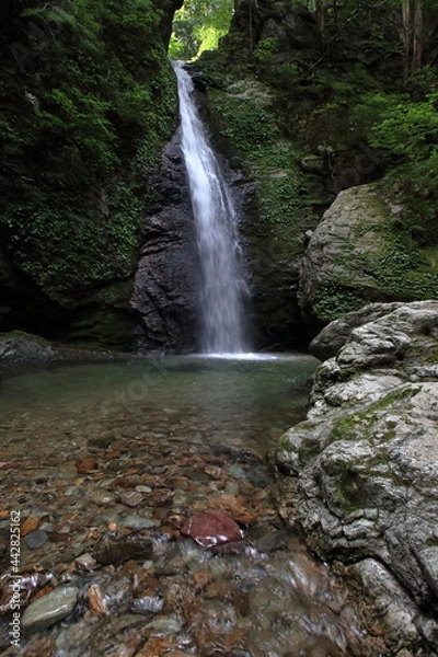 Fototapeta 龍王の滝　滝つぼ　梶ヶ森（高知県　大豊町） 