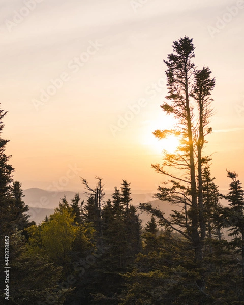 Obraz Sunrise from Spruce Mt.