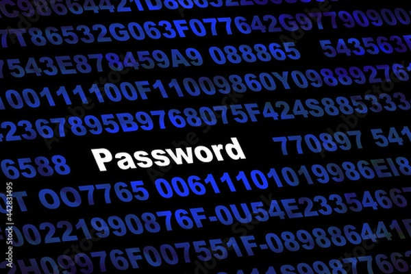 Fototapeta PASSWORD
