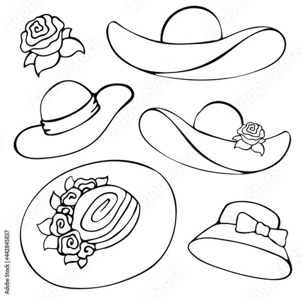 Fototapeta Set of different vector illustrations of summer women's hats in the style of flat. Hand drawing. Summer season