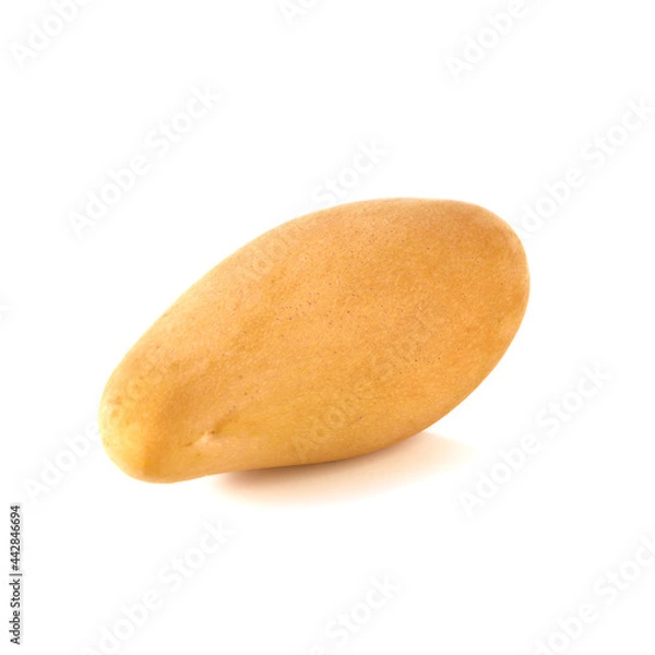 Obraz mango fruit isolated on white background