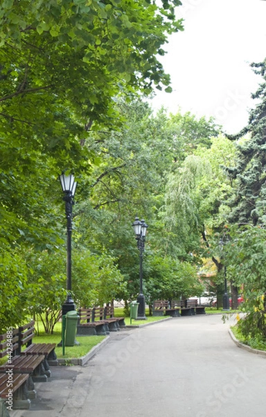 Obraz City park on summer