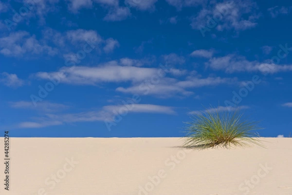 Obraz desert sand dunes