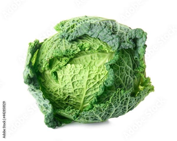 Obraz Fresh savoy cabbage on white background