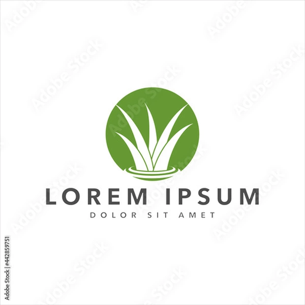 Obraz grass vector logo design template

