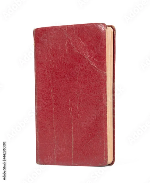 Obraz Small red book