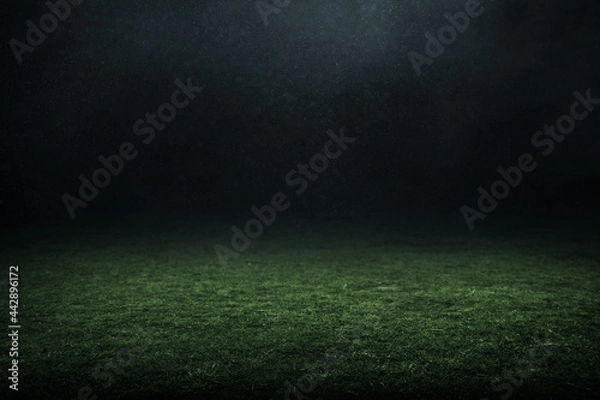 Obraz Professional soccer field stadium background
