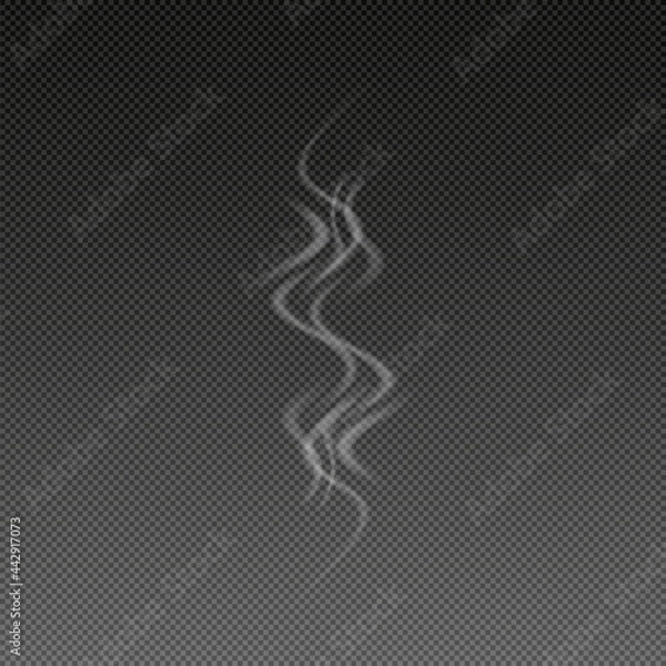 Fototapeta Smoke with black transparent background. Vector illustration.