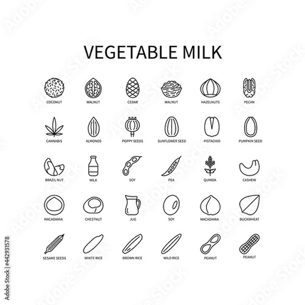Obraz Icon Of Alternative Milk Line In A Simple Style. Milk Of Vegetable Origin. Vector sign in a simple style isolated on a white background. Original size 64x64 pixels.