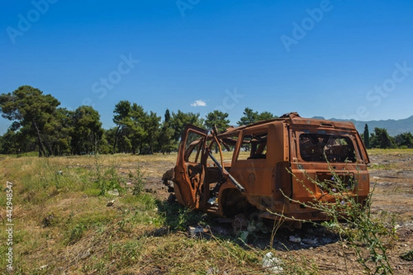 Obraz Rusty burned out car sitting on the field 