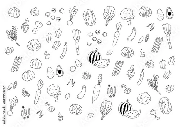 Obraz いろんな野菜の手描き線画イラスト背景