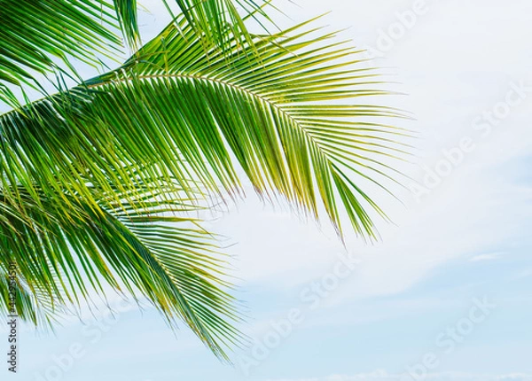 Fototapeta Bright day on a tropical beach Palm trees and paradise of the sea
