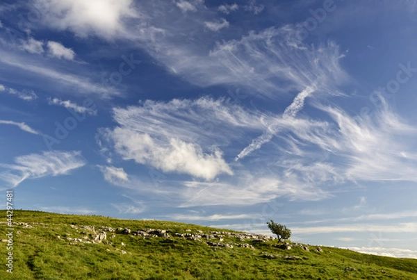 Obraz Tree on the Horizon