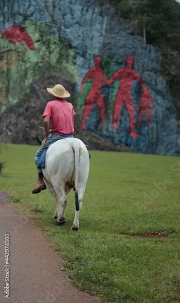Obraz cubanischer Bauer