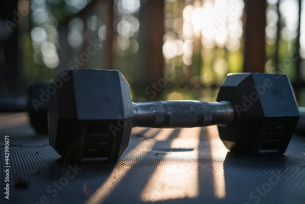 Obraz Lifting weight