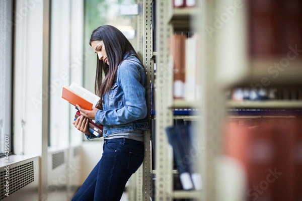 Obraz Hispanic college student