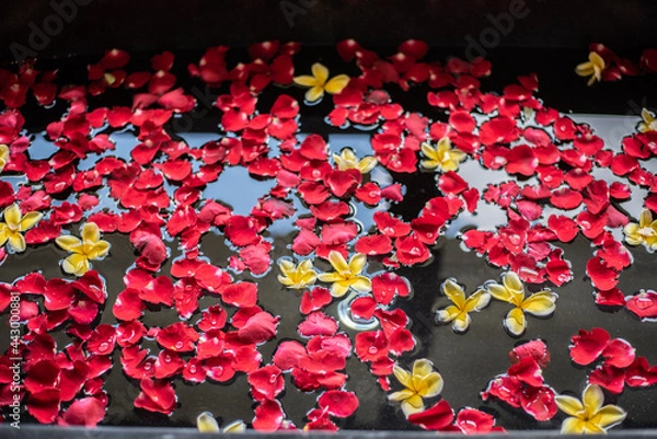 Fototapeta Rose petals put in bathtub for romantic bathroom in honeymoon suit
