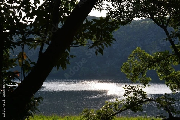 Fototapeta 小網代湾の入り江